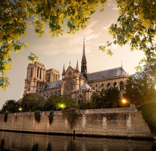 Notre Dame in Paris — Stock Photo, Image