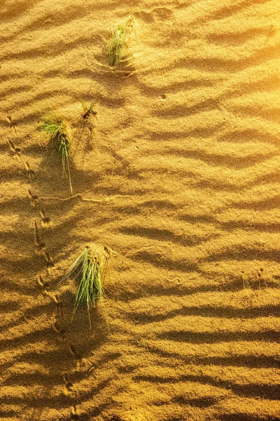 Yellow sand in desert — Stock Photo, Image