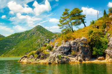 Skadar gölü ve doğa