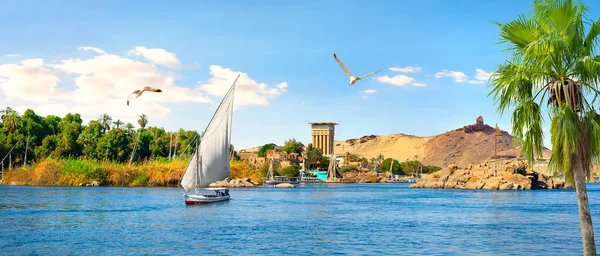Widok Majestatyczny Asuan Miasto Nad Rzeką Nilu — Zdjęcie stockowe