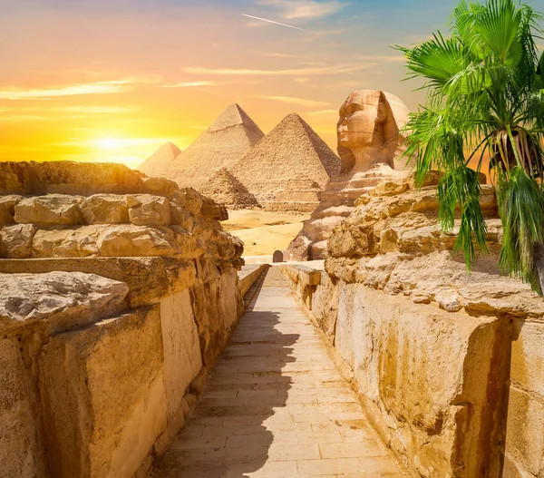 Sole Serale Sulle Piramidi Sfinge Giza — Foto Stock