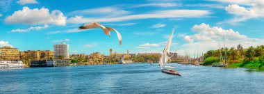 Aswan 'da Nil nehrinde yelkenli, panoramik manzara