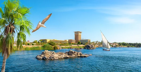 Blick Auf Die Stadt Assuan Nil Sommertagen — Stockfoto