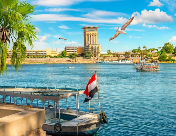 Jorney Aswan Sunny Summer Day — Stock Photo, Image