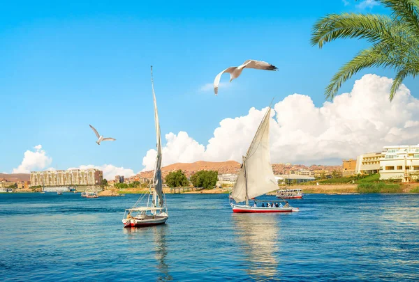 Touristic Sailboats River Nile Summer Day Aswan — Stock Photo, Image