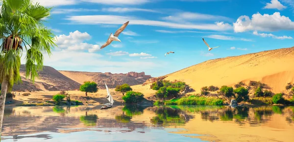 Travel Sailboat Picturesque River Nile Aswan — Stock Photo, Image