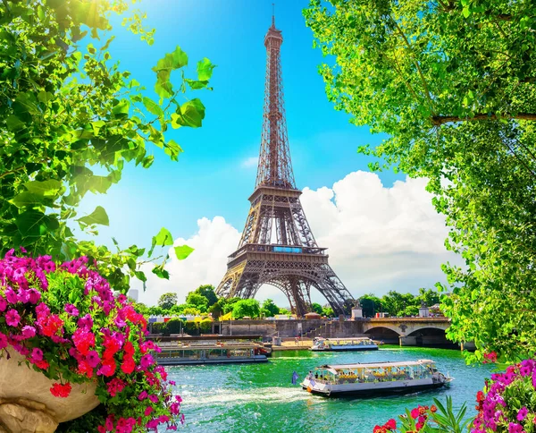 Blossom in Paris — Stock Photo, Image