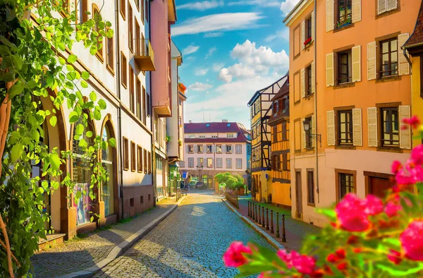 Blumen auf der Straße — Stockfoto