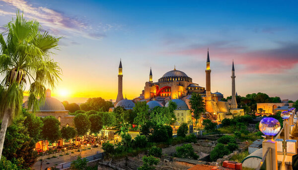 Hagia Sophia and palm tree