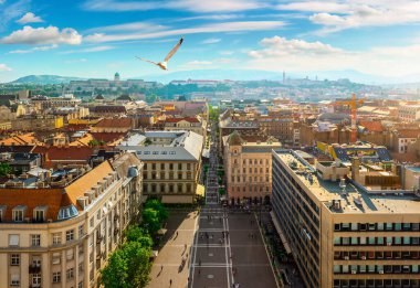 Budapeşte 'deki Istvan Meydanı' nın üst manzarası