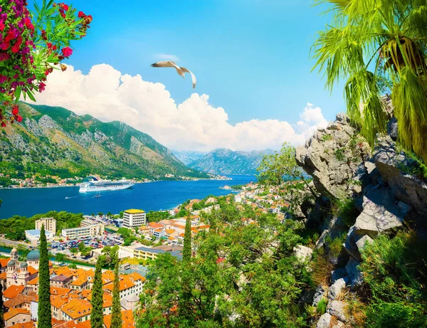 Bahía de Kotor en verano —  Fotos de Stock