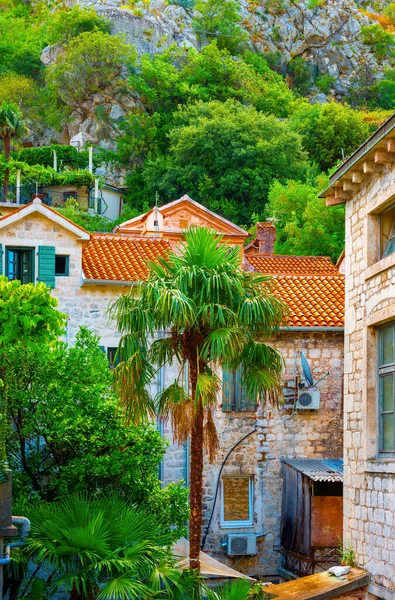 Stare domy w Kotor — Zdjęcie stockowe
