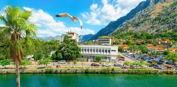 Rio em Kotor — Fotografia de Stock