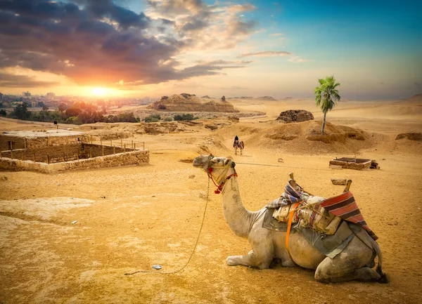 Pôr do sol e Giza — Fotografia de Stock