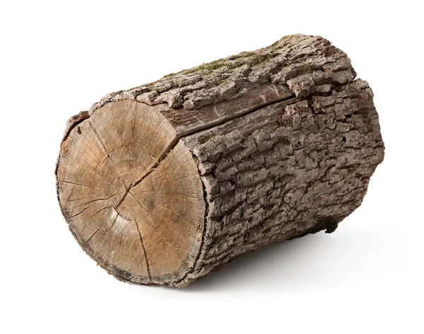 Stump isolated — Stock Photo, Image