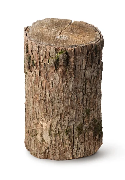 Vertical stump — Stock Photo, Image