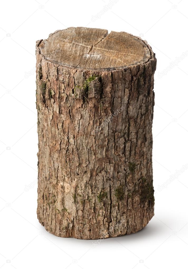 Vertical stump