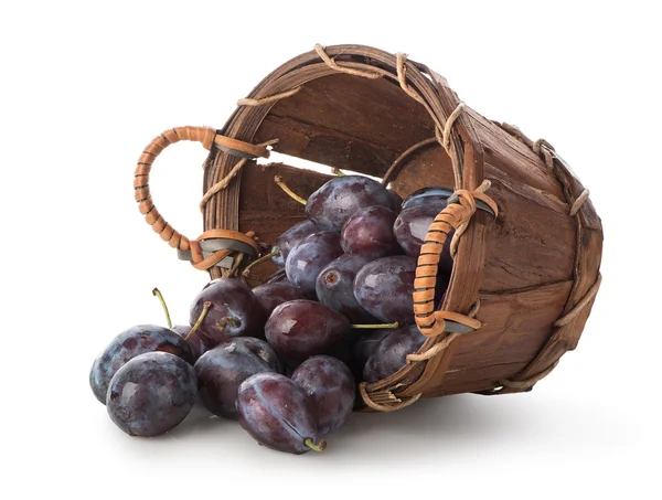 Plums in a basket — Stock Photo, Image