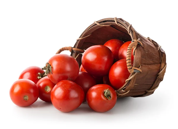 Tomates em uma cesta — Fotografia de Stock