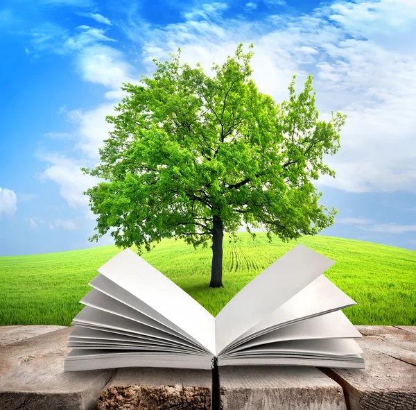 Tree and book — Stock Photo, Image