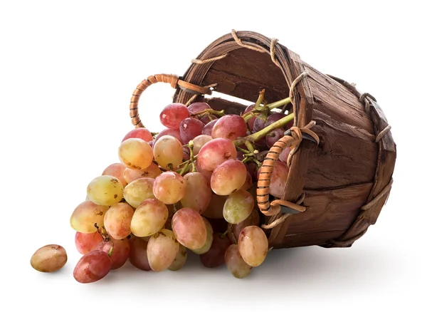 Grapes in a basket — Stock Photo, Image