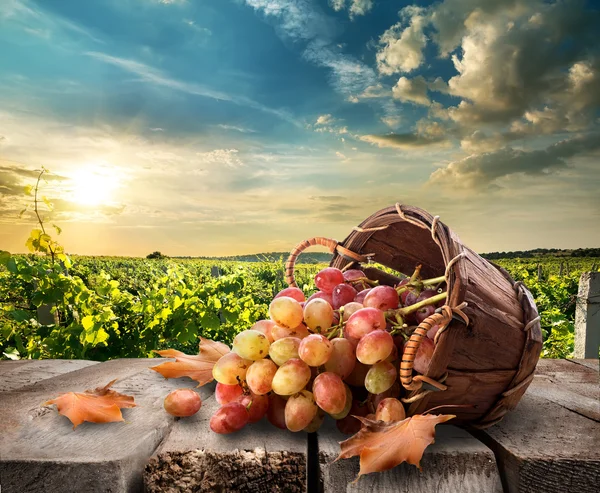 Grapes on table — Stock Photo, Image