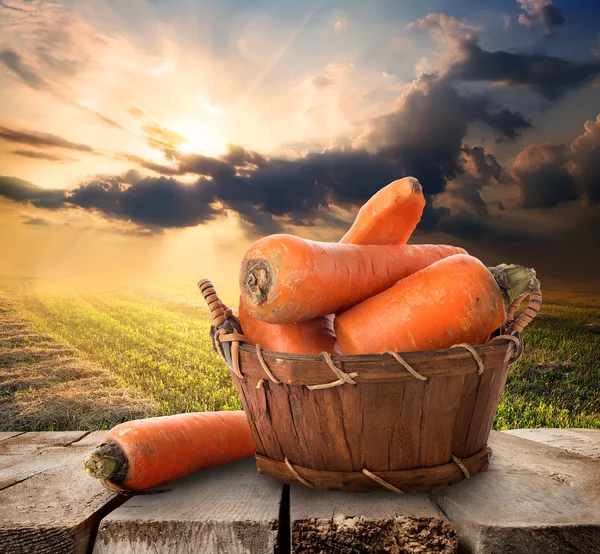 Carota e paesaggio — Foto Stock