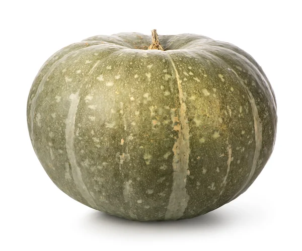 Green pumpkin — Stock Photo, Image