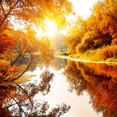 güzel bir sonbahar ormandaki nehir