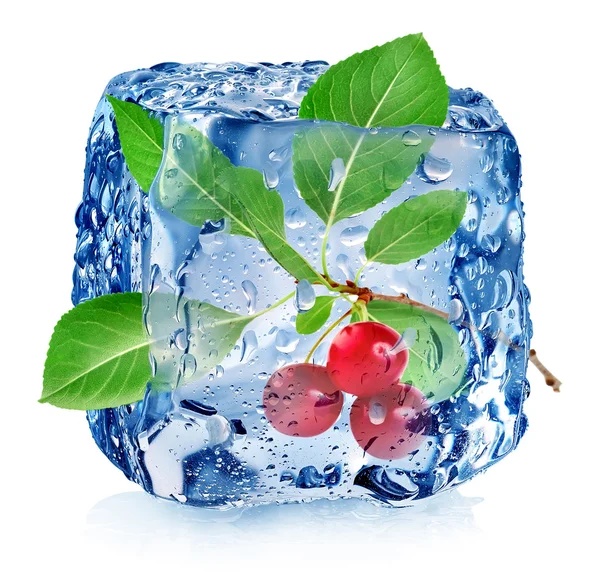 Cereza en cubo de hielo — Foto de Stock