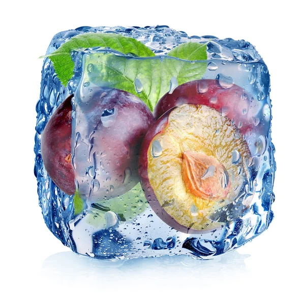 Ciruelas en cubo de hielo — Foto de Stock