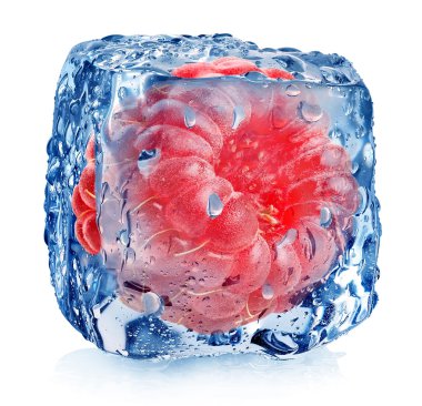 Pink raspberry in ice clipart