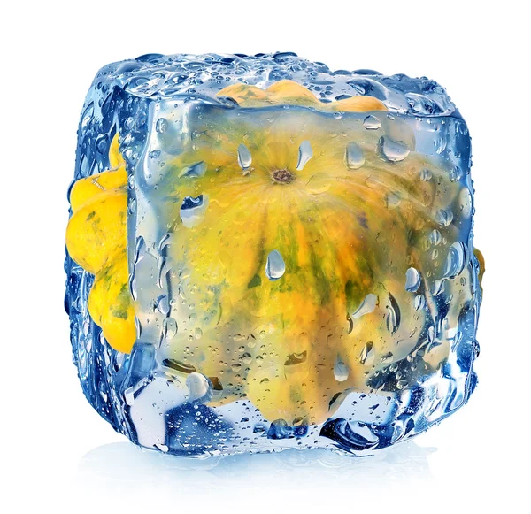 Cabaça em cubo de gelo — Fotografia de Stock