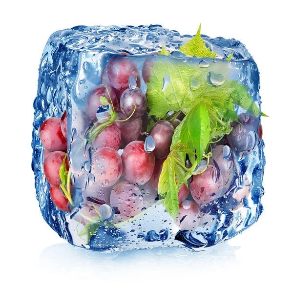 Uva en cubo de hielo — Foto de Stock