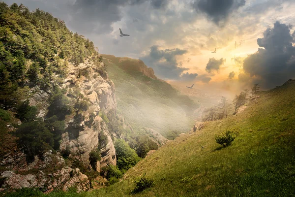 Birds over rocks — Stock Photo, Image