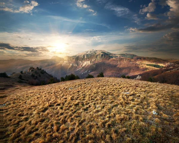 Wiese in den Bergen — Stockfoto