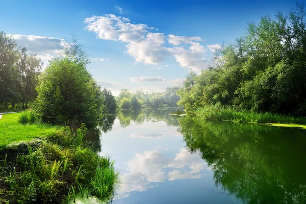 Flod på sommaren — Stockfoto