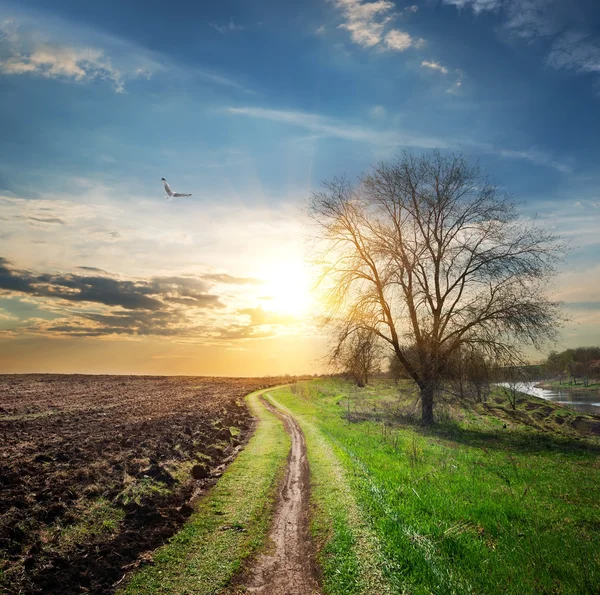 Geploegd veld en weg — Stockfoto