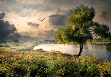 Willow ve nehir