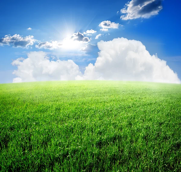 Field and sky — Stock Photo, Image