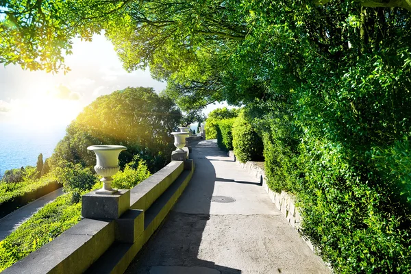 Flowerpots in park — Stock Photo, Image