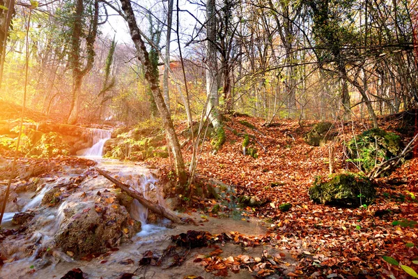 Fiume di montagna — Foto Stock