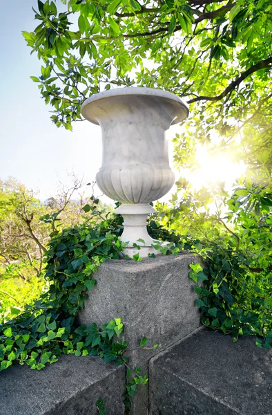 Stony flowerpot — Stock Photo, Image