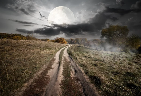 Campo y luna — Foto de Stock