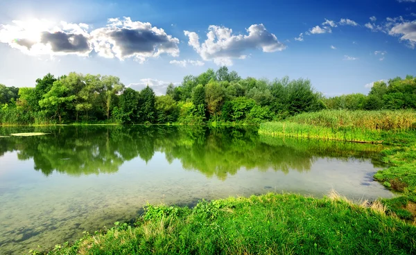 Fiume tranquillo — Foto Stock