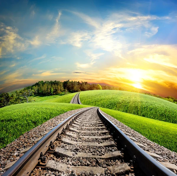 Railroad through forest — Stock Photo, Image