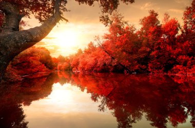 Nehri üzerinde kırmızı sonbahar