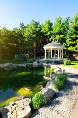 Lake yakınındaki beyaz Milli