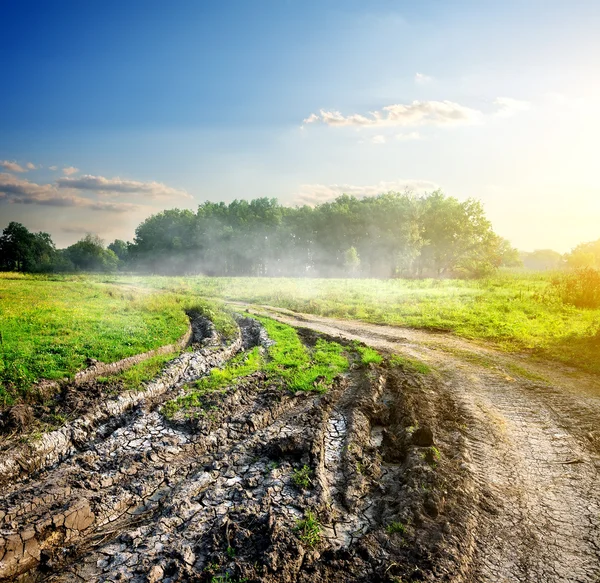 Kırsal kesimde bulanık yol — Stok fotoğraf