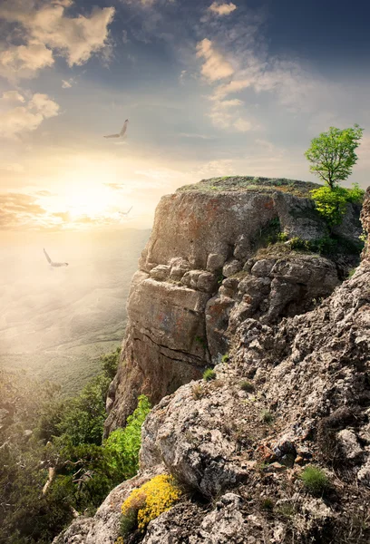 Mountain plateau — Stock Photo, Image